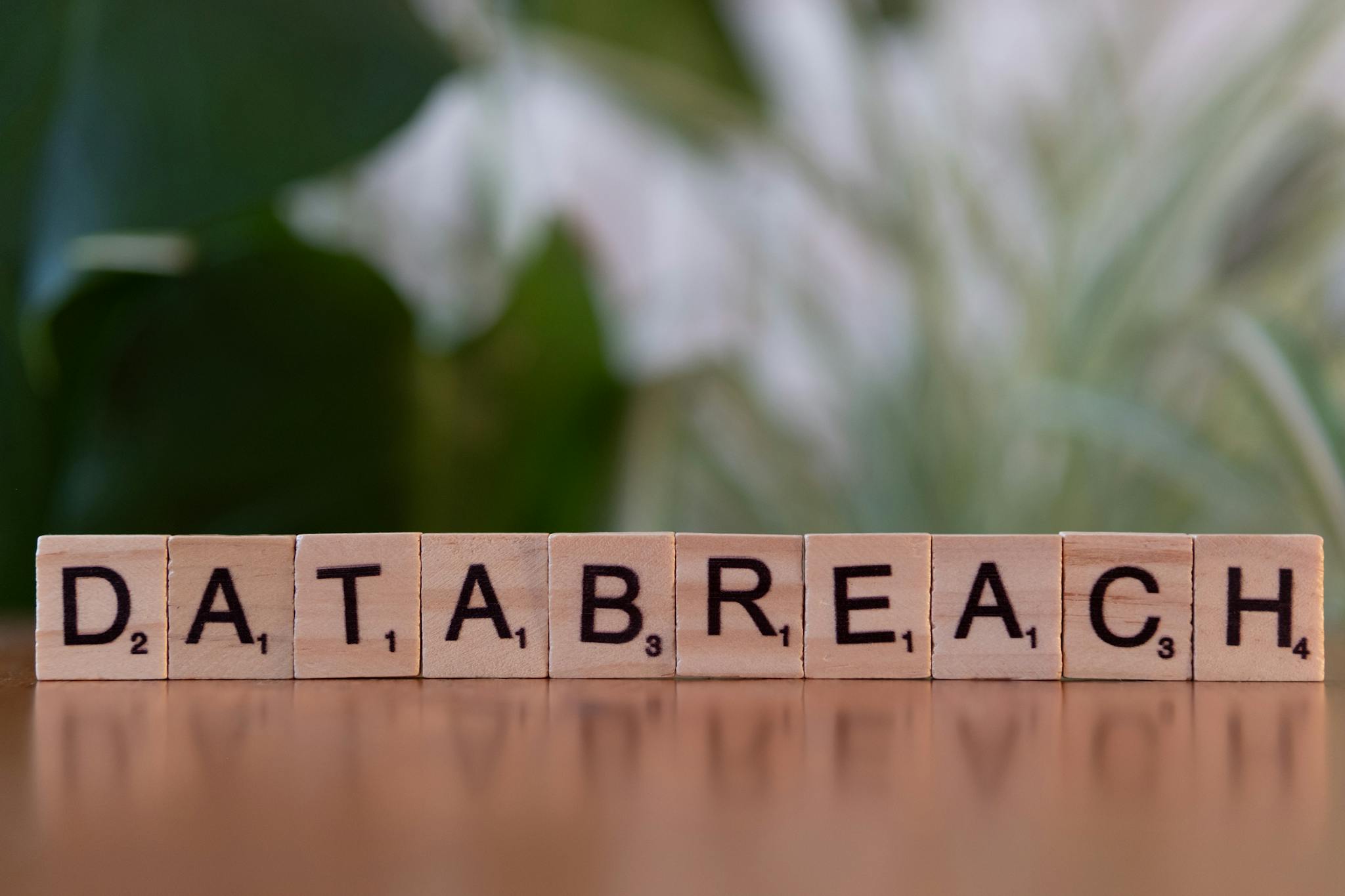 Close-up of Scrabble tiles spelling 'data breach' on a blurred background